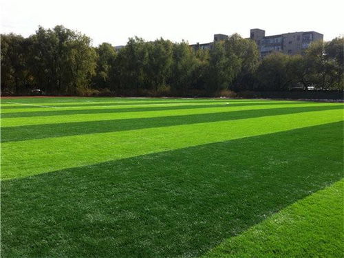 天津人造草坪每平方多少钱 天津人造草坪 立新体育设施工程
