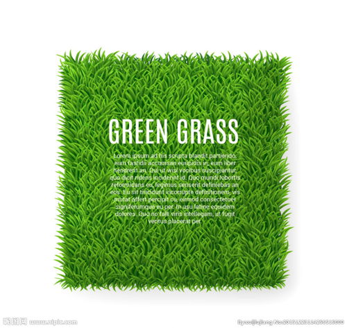 方形绿色草坪图片
