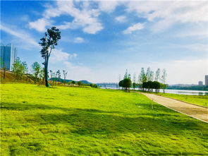 缤纷水岸湿地公园建成在即 八月底全线开园