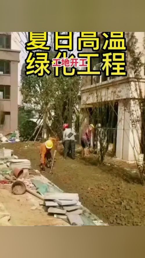 绿化工程 园林绿化 施工现场实拍 精品苗木 园林绿化工程苗木人