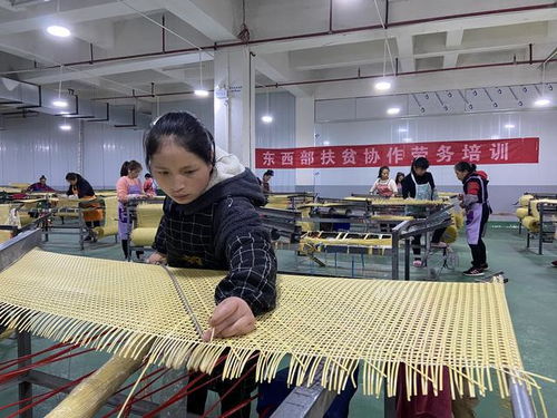 佛山 黔东南携手推进东西部协作工作