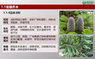绿城集团园林软景苗木图谱,非常全面,值得借鉴 收藏