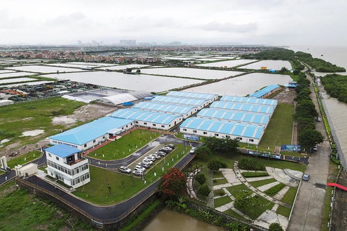 广东省农业农村厅发布 海大集团两大产业园入选省级建设名单